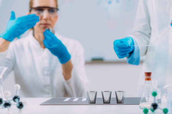 L'olfaction chez les serpents: peut-on parler d'un 'sixième sens' pour la chasse ?